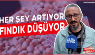 Her şey artıyor, FINDIK düşüyor!