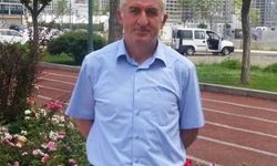 AĞAÇTAN DÜŞTÜ