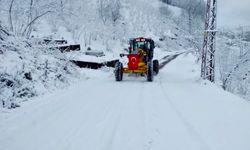 ALTINORDU’DA, YOLLAR AÇIK!