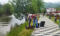 ORDU'DA YENİ BİR YAŞAM ALANI DOĞUYOR!