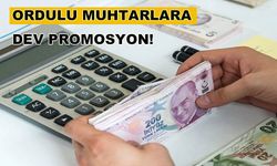 ORDULU MUHTARLARA, DEV PROMOSYON!