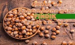 ORDU'DA FINDIK FİYATI KAÇ TL?