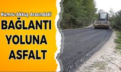 BAĞLANTI YOLUNA ASFALT