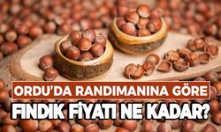 BUGÜN FINDIK NE KADAR?