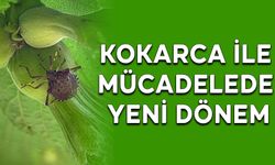 KOKARCA İLE MÜCADELEDE YENİ DÖNEM