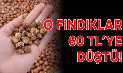 O FINDIKLAR, 60 TL’YE DÜŞTÜ!