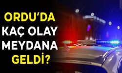 ORDU’DA KAÇ OLAY MEYDANA GELDİ?