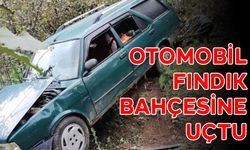 OTOMOBİL FINDIK BAHÇESİNE UÇTU