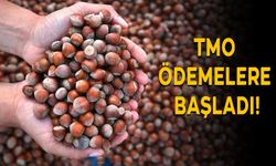 TMO ÖDEMELERE BAŞLADI!