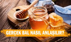 GERÇEK BAL NASIL ANLAŞILIR?