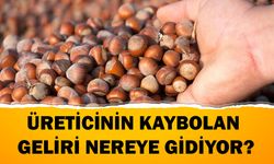 ÜRETİCİNİN KAYBOLAN GELİRİ NEREYE GİDİYOR?