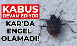 KABUS DEVAM EDİYOR