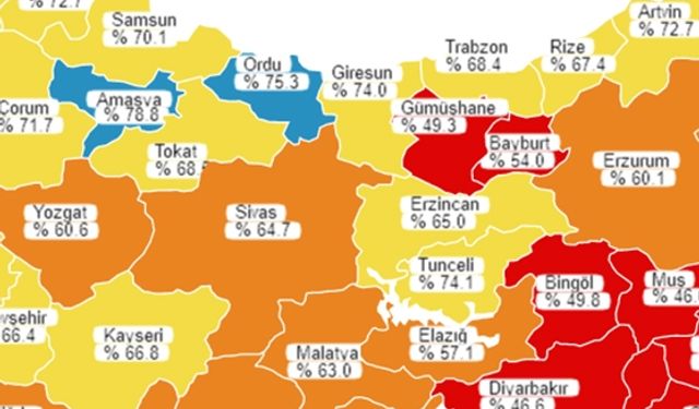 ORDU’NUN YENİ RENGİ