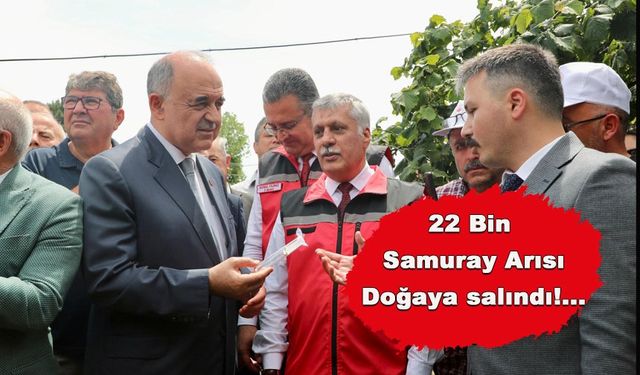 22 BİN SAMURAY ARISI DOĞAYA SALINDI!