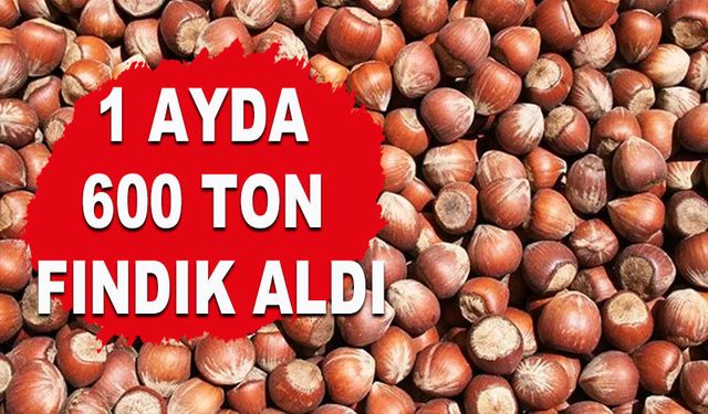 1 AYDA 600 TON FINDIK ALDI