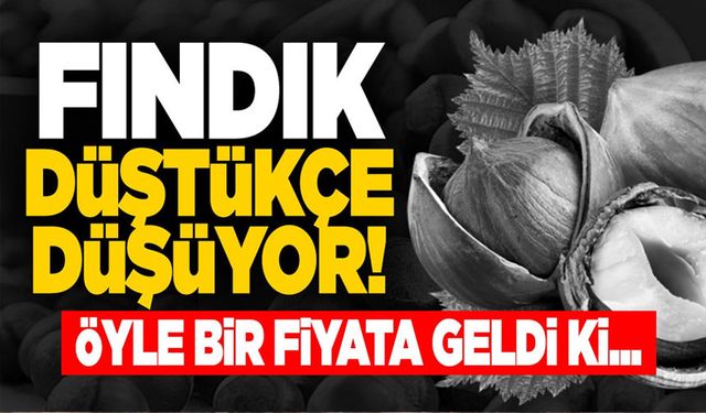 FINDIK DÜŞTÜKÇE DÜŞÜYOR!