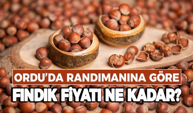 BUGÜN FINDIK NE KADAR?