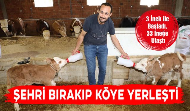 ŞEHRİ BIRAKTI KÖYE YERLEŞTİ