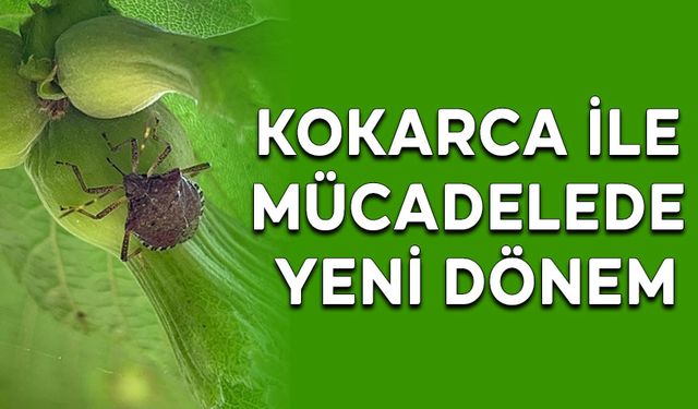 KOKARCA İLE MÜCADELEDE YENİ DÖNEM