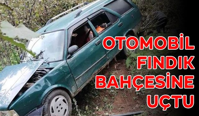 OTOMOBİL FINDIK BAHÇESİNE UÇTU