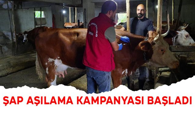 ŞAP AŞILAMA KAMPANYASI BAŞLADI!