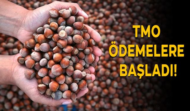 TMO ÖDEMELERE BAŞLADI!