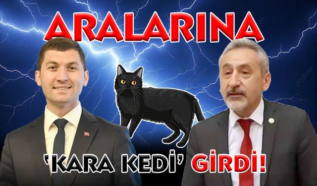 ARALARINA "KARA KEDİ" GİRDİ!