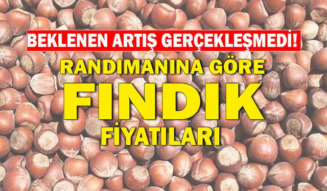 FINDIKTA FİYAT DEĞİŞMİYOR