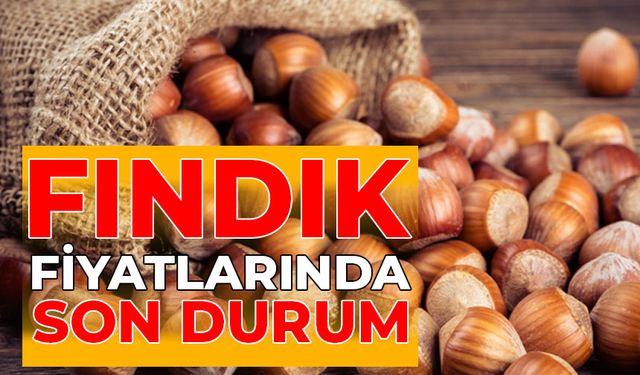 FINDIK FİYATINDA SON DURUM