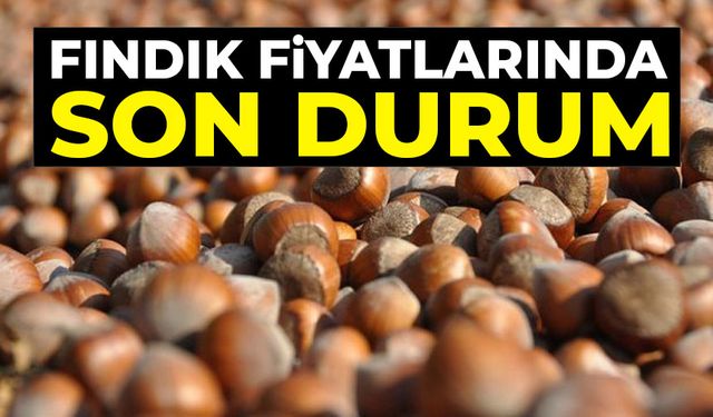 BUGÜN FINDIK KAÇ PARA?