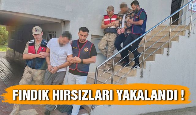 FINDIK HIRSIZLARI YAKALANDI !