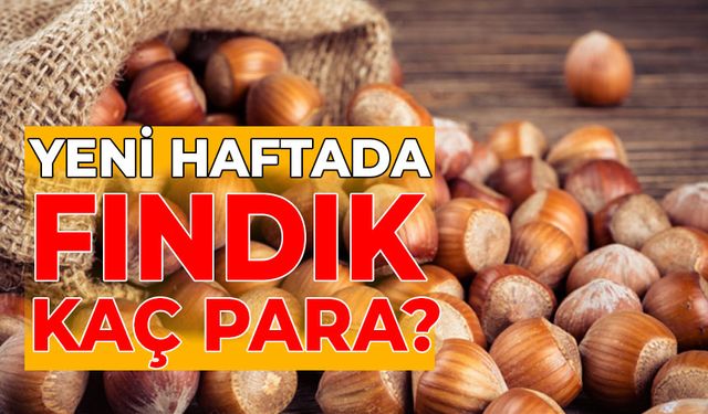 FINDIKTA SON DURUM