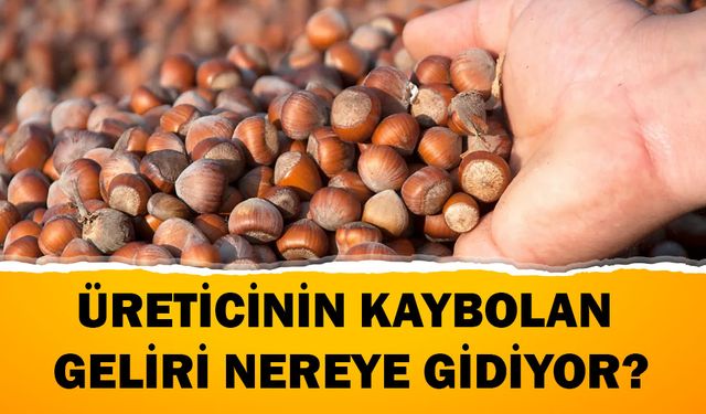 ÜRETİCİNİN KAYBOLAN GELİRİ NEREYE GİDİYOR?