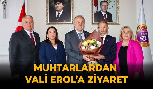 MUHTARLARDAN VALİ EROL'A ZİYARET