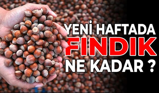 YENİ HAFTADA FINDIK NE KADAR?