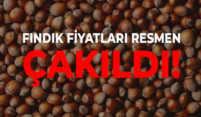 FINDIK FİYATI ÇAKILDI!