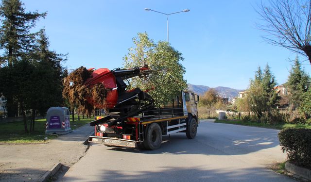 AĞAÇLAR KORUNACAK