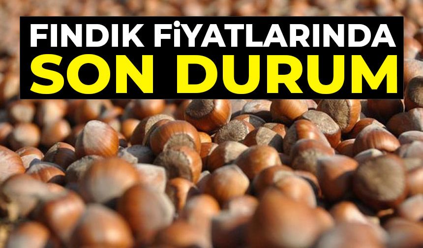 FINDIK FİYATLARINDA SON DURUM!