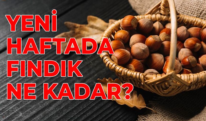 YENİ HAFTADA FINDIK NE KADAR?