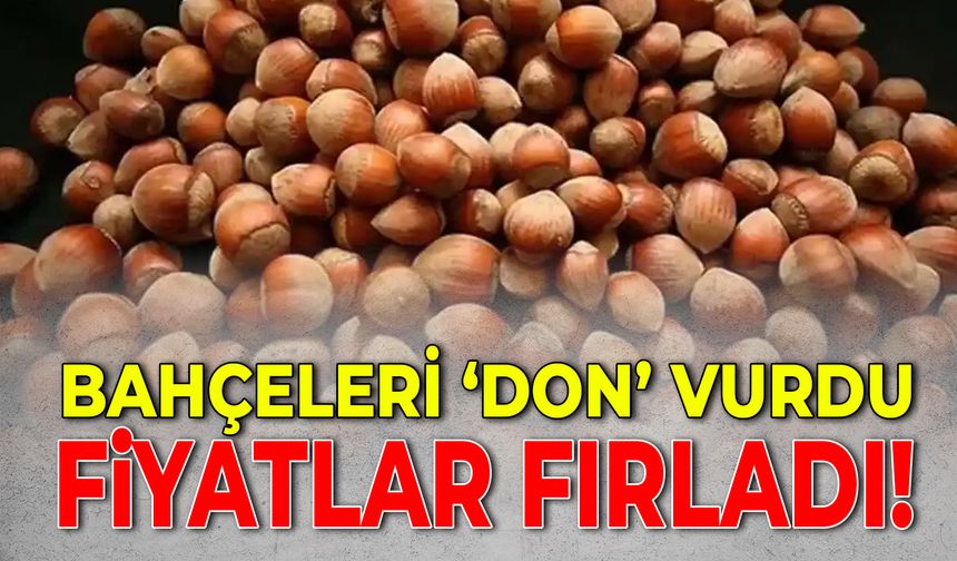 FINDIK FİYATLARI FIRLADI!